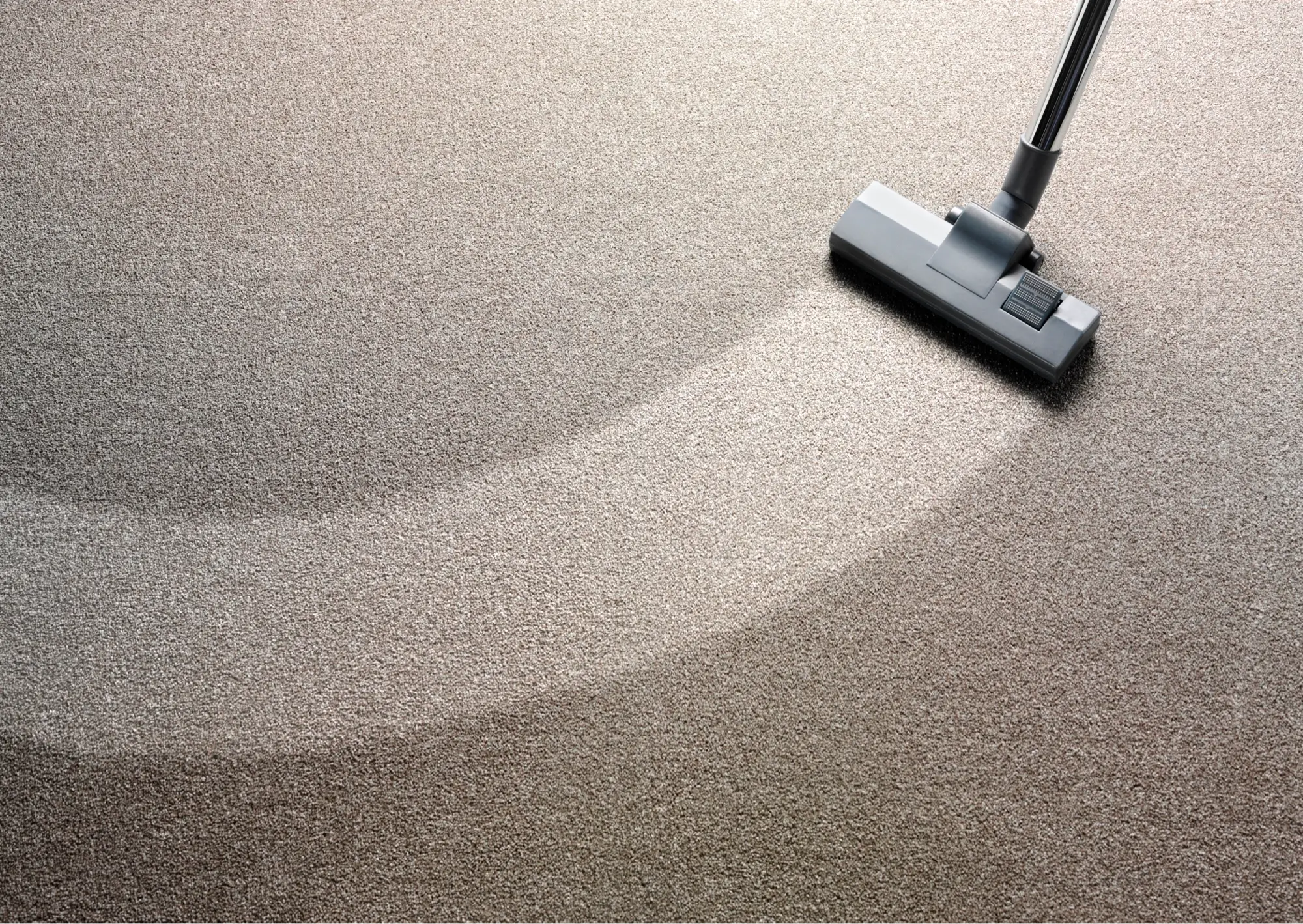 Carpet care | Tazewell Floors & Design